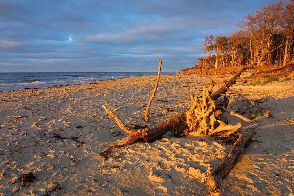 Strandhotel Duenenmeer - Adults Only Dierhagen Bagian luar foto